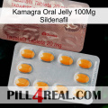 Kamagra Oral Jelly 100Mg Sildenafil new13